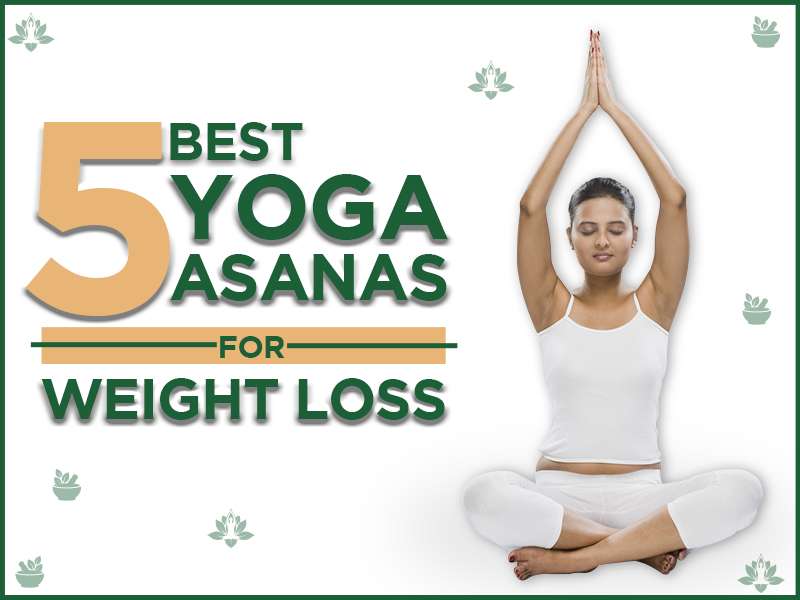 1 Year Yoga Classes For Weight Loss at Rs 2500/month in New Delhi | ID:  2850865990455