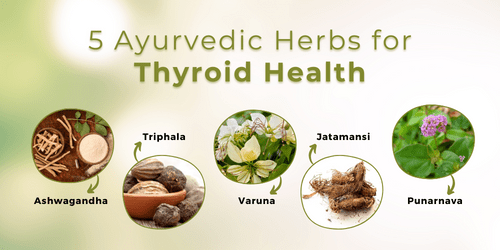 5 Ayurvedic Herbs for Thyroid Health