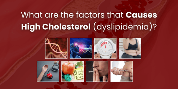 What are the factors that causes High Cholesterol (dyslipidemia)?