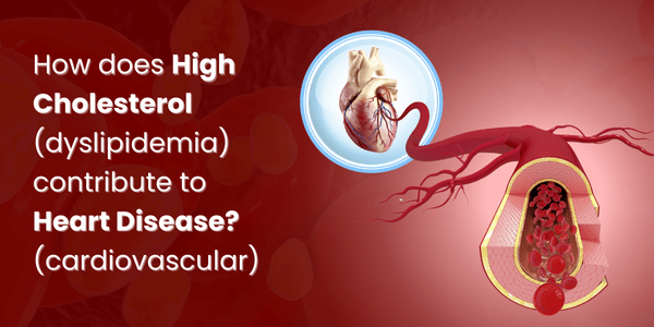 How does High Cholesterol (dyslipidemia) contribute to heart (cardiovascular) disease?