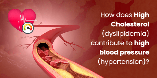 How does High Cholesterol (dyslipidemia) contribute to high blood pressure (hypertension)?